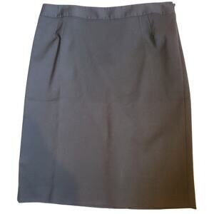 Ann Taylor Loft Navy Blue Midi Skirt side zipper buttons down back Sz. 14P NWT